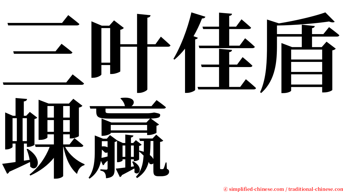 三叶佳盾蜾蠃 serif font
