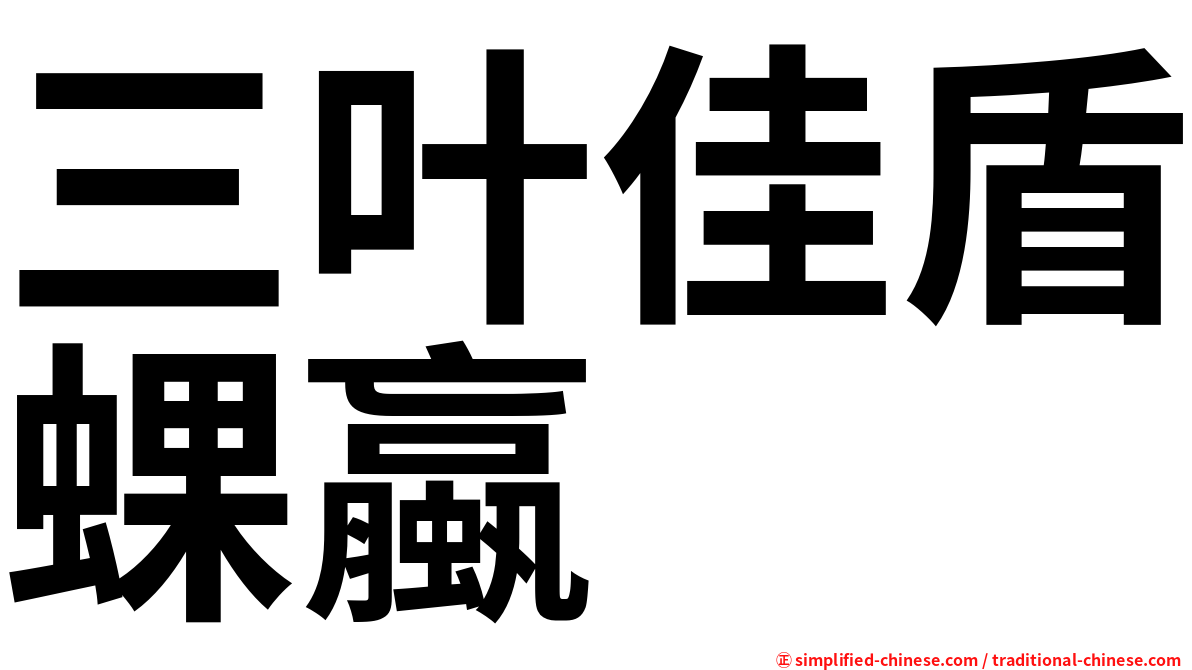 三叶佳盾蜾蠃
