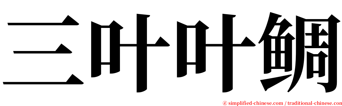 三叶叶鲷 serif font