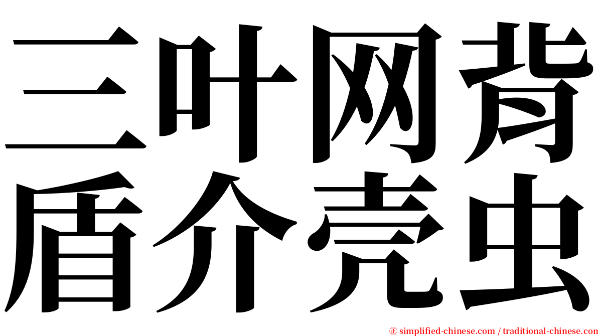 三叶网背盾介壳虫 serif font