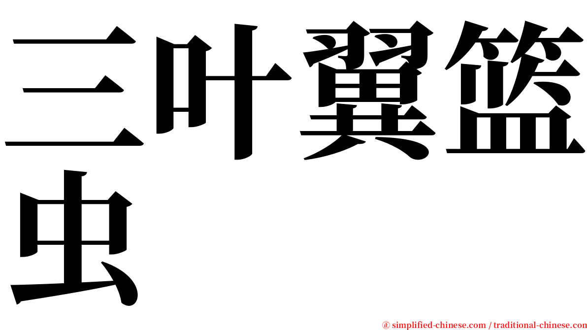 三叶翼篮虫 serif font