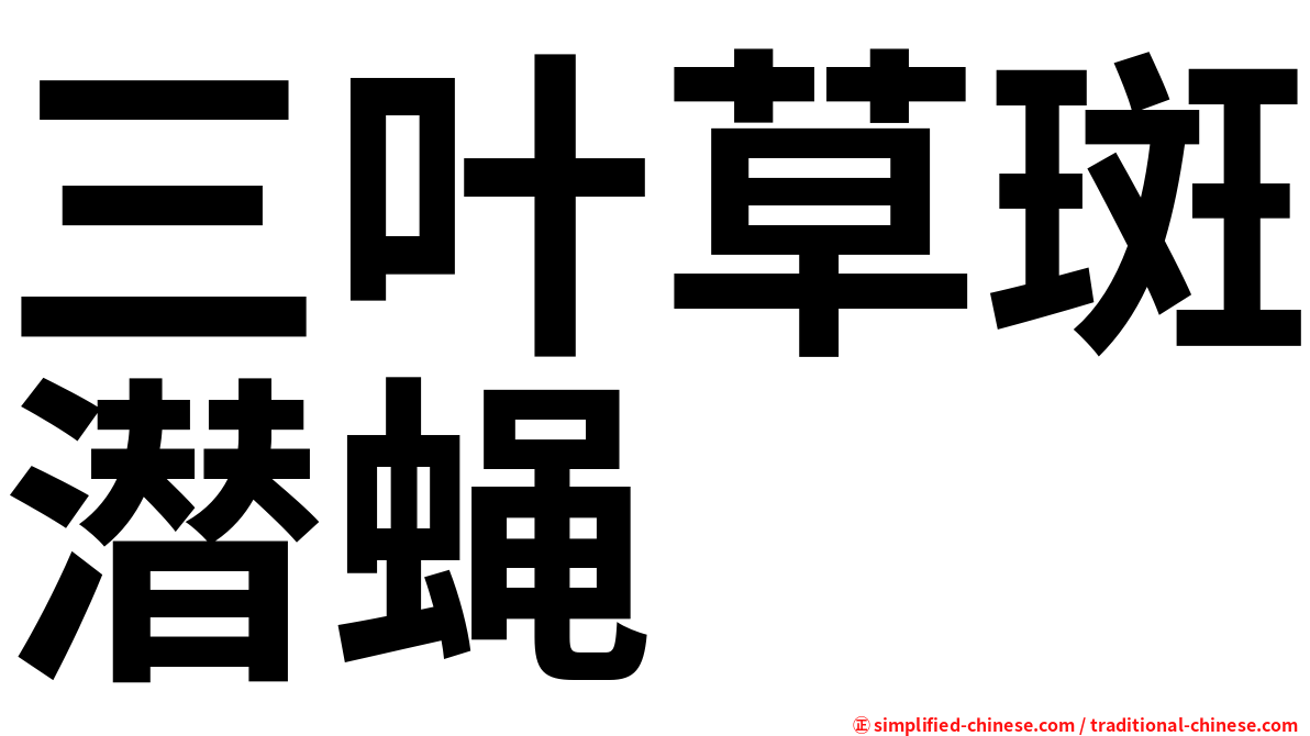三叶草斑潜蝇