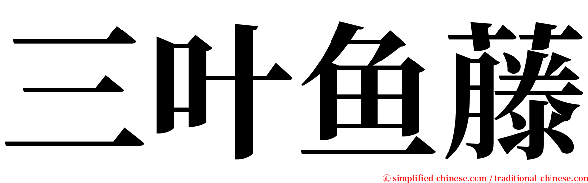 三叶鱼藤 serif font