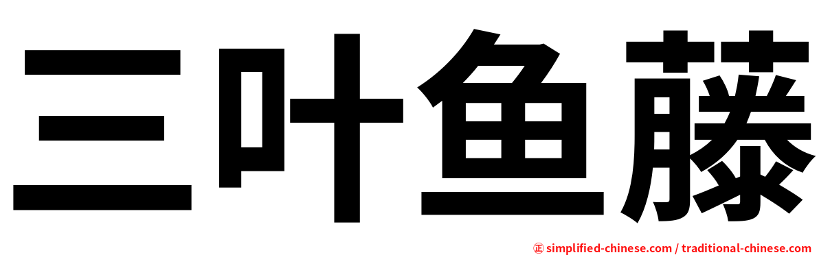 三叶鱼藤