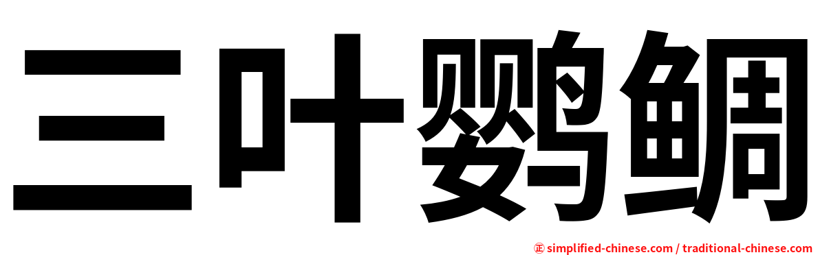 三叶鹦鲷