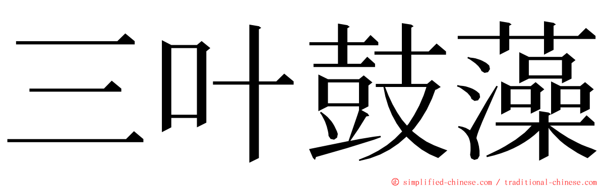 三叶鼓藻 ming font
