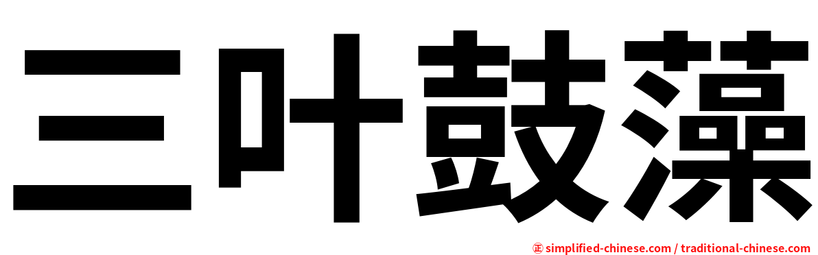 三叶鼓藻