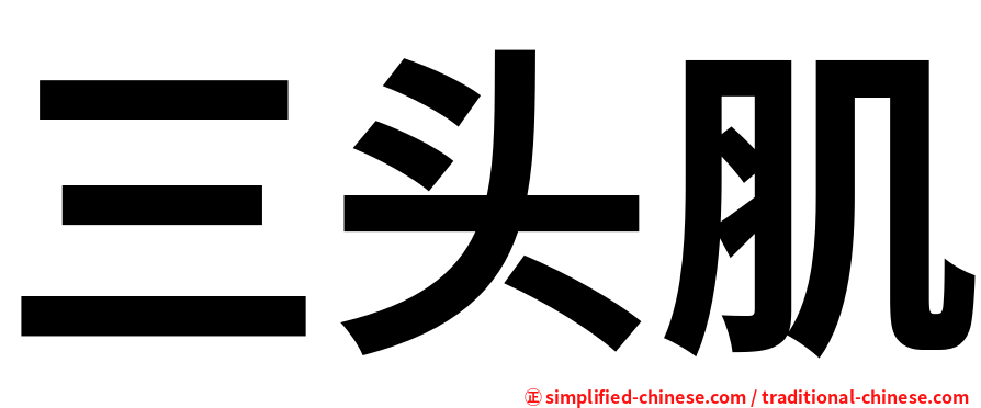 三头肌