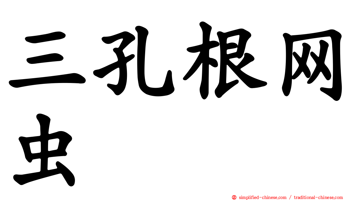 三孔根网虫