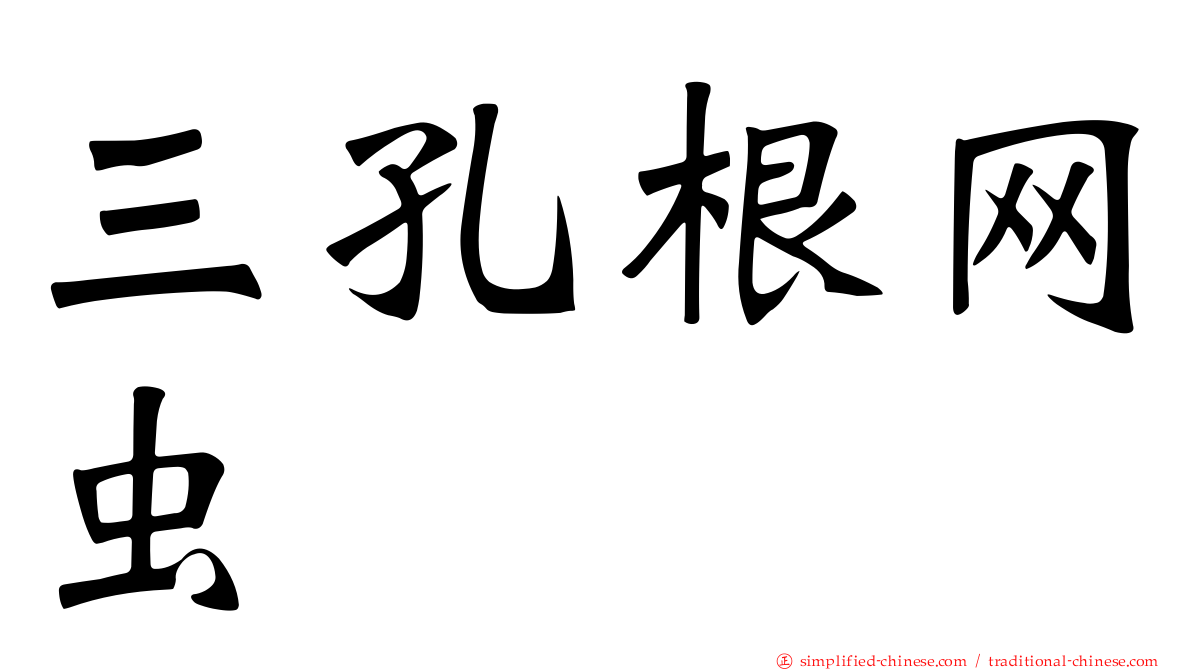 三孔根网虫