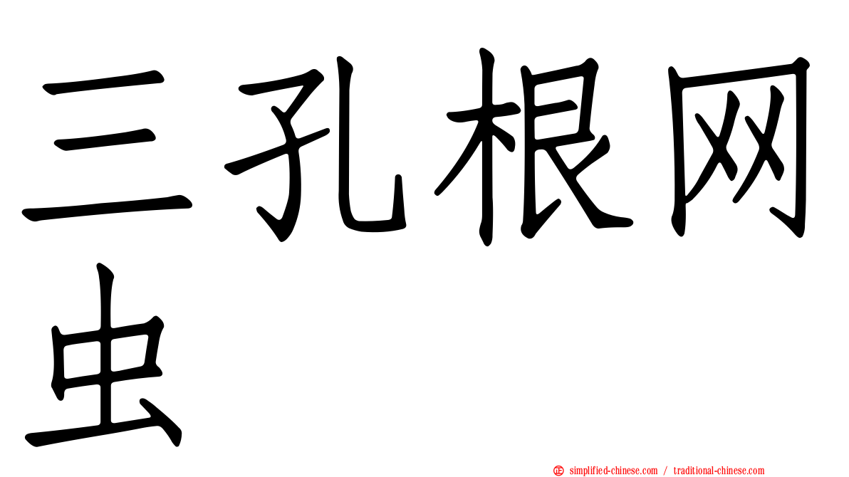 三孔根网虫
