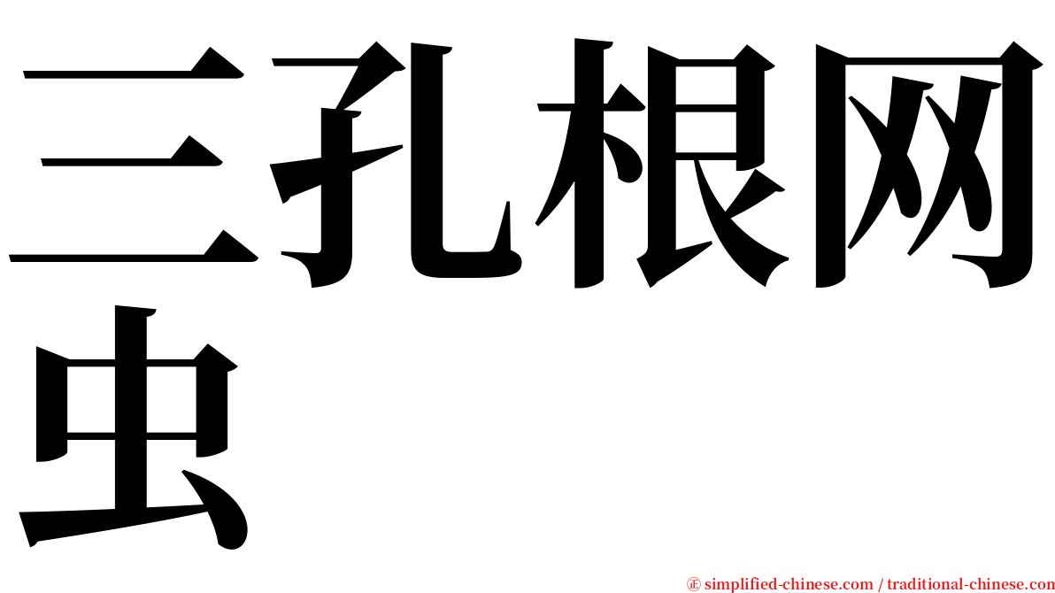 三孔根网虫 serif font
