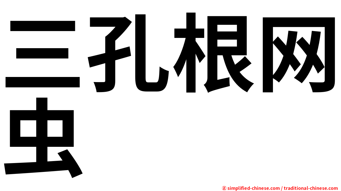 三孔根网虫