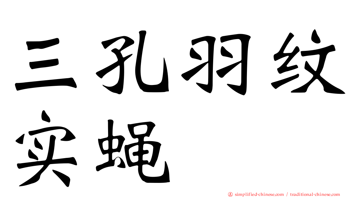 三孔羽纹实蝇