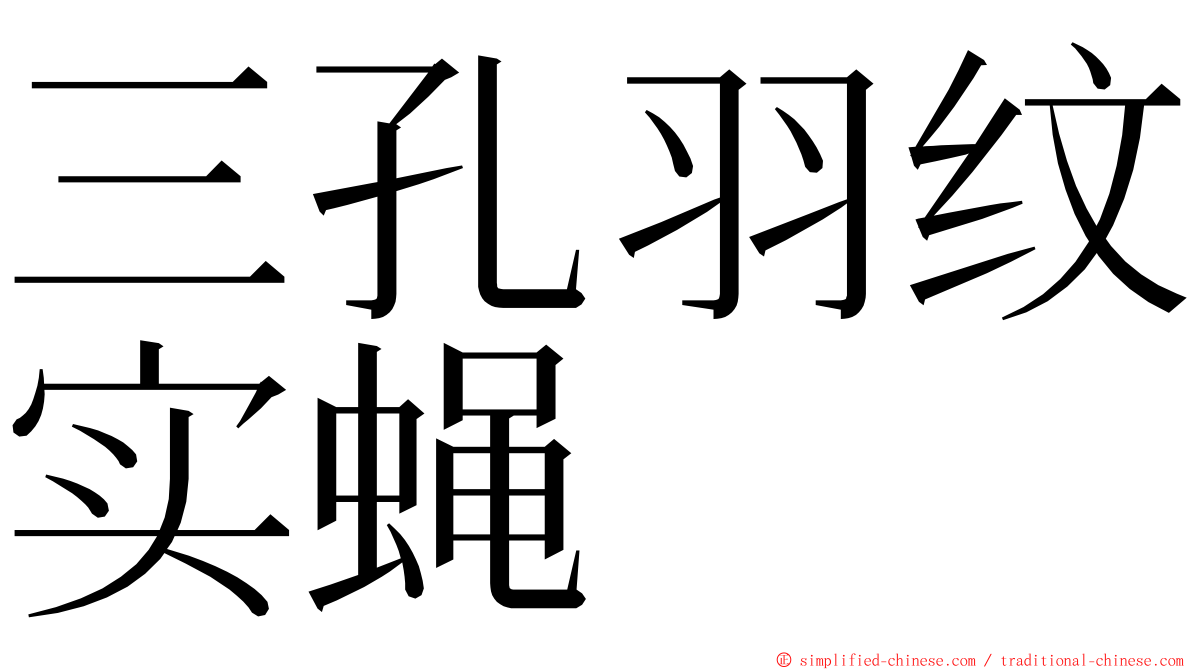 三孔羽纹实蝇 ming font