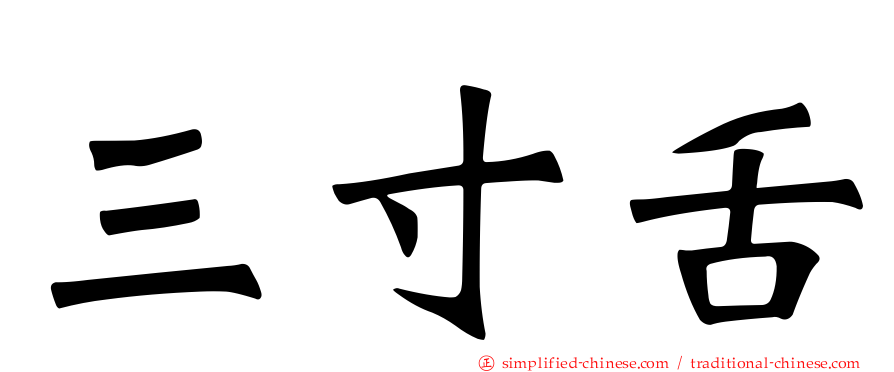 三寸舌