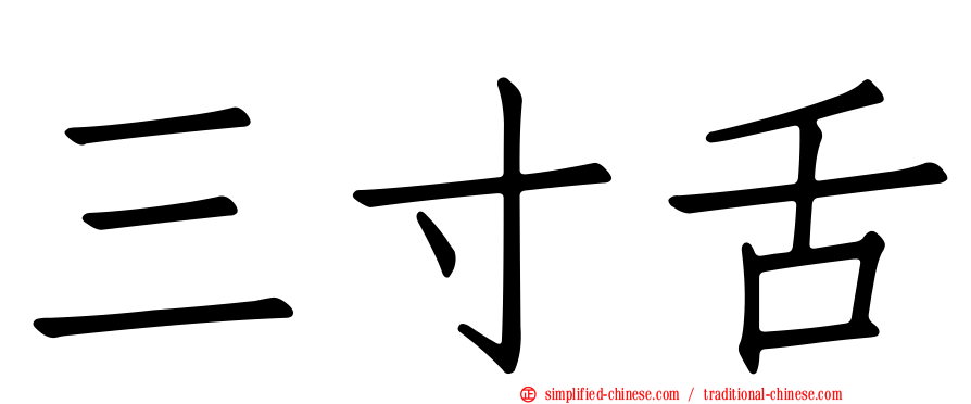 三寸舌