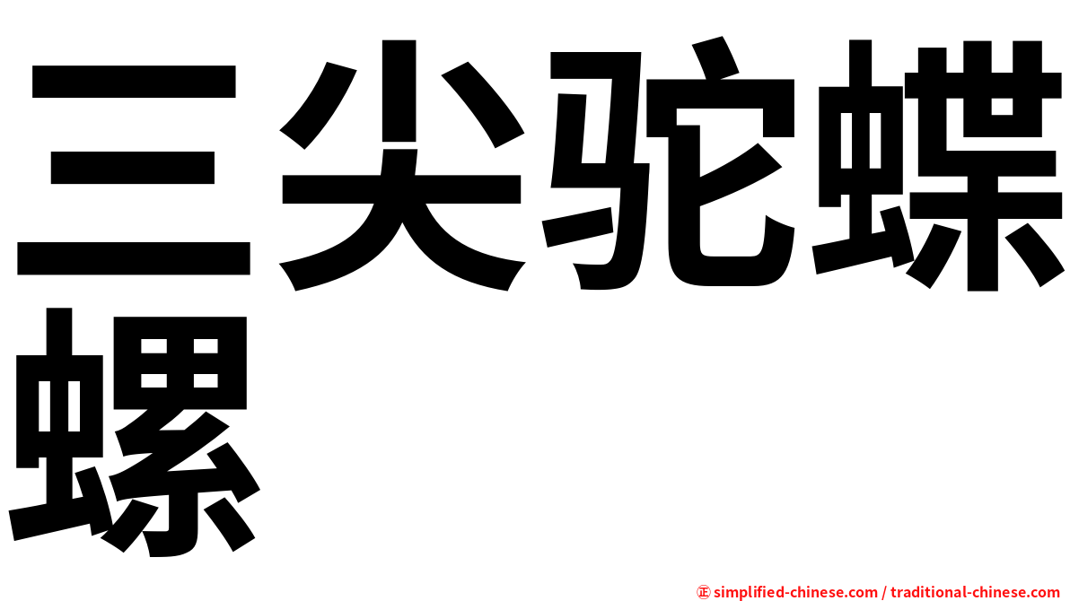 三尖驼蝶螺