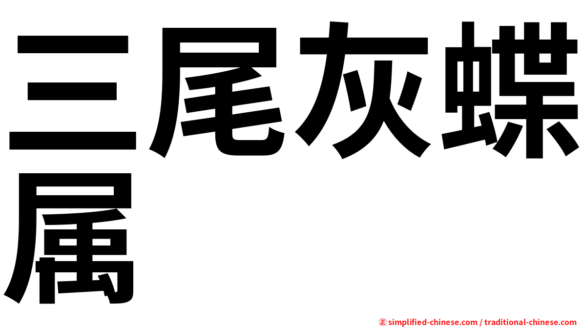 三尾灰蝶属
