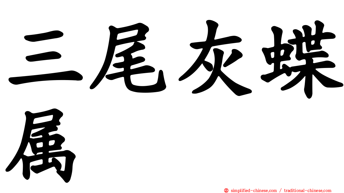 三尾灰蝶属