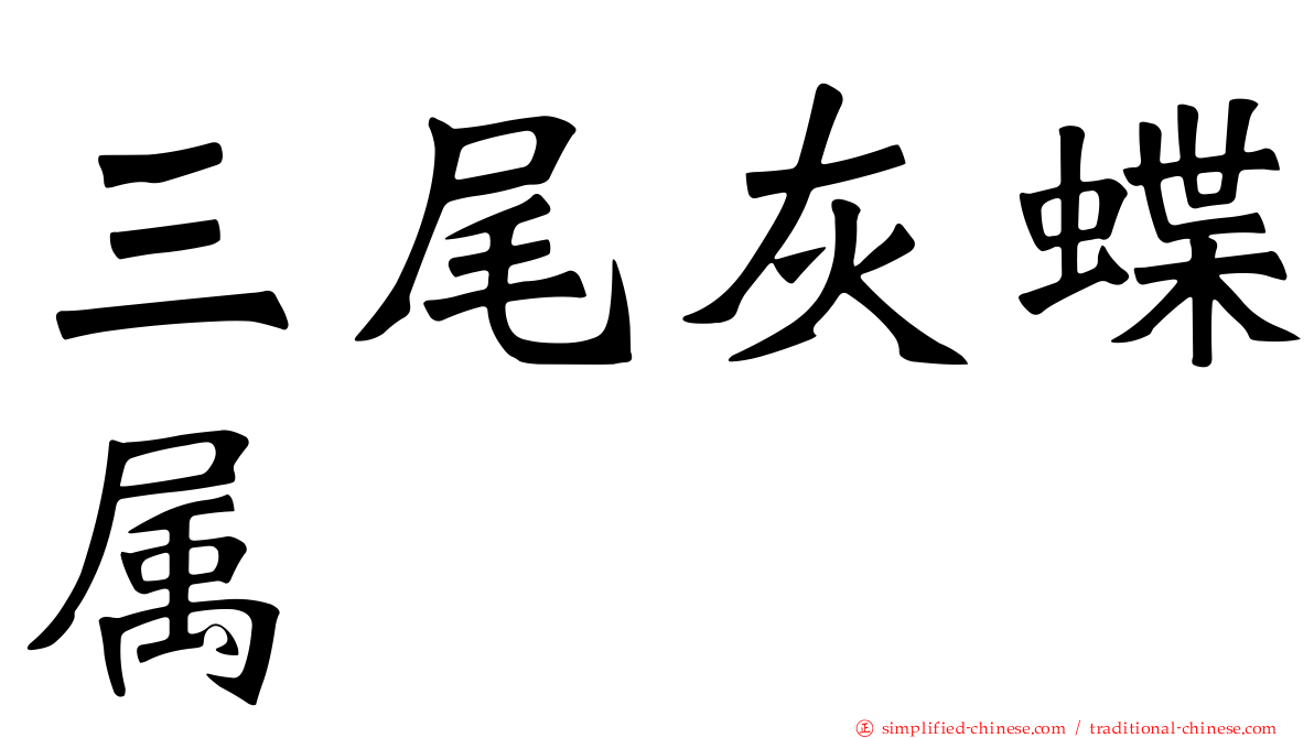 三尾灰蝶属