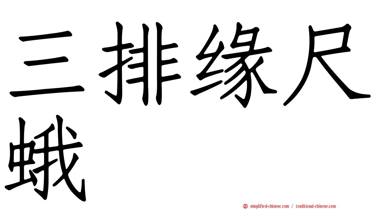 三排缘尺蛾