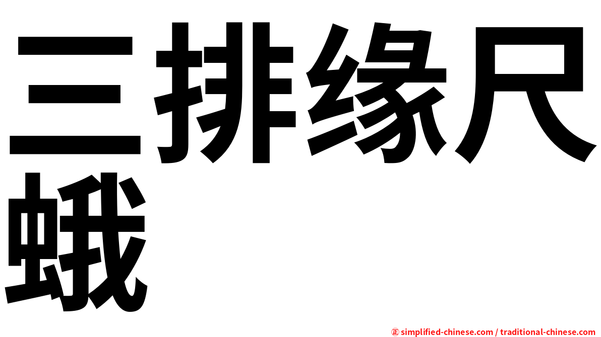 三排缘尺蛾