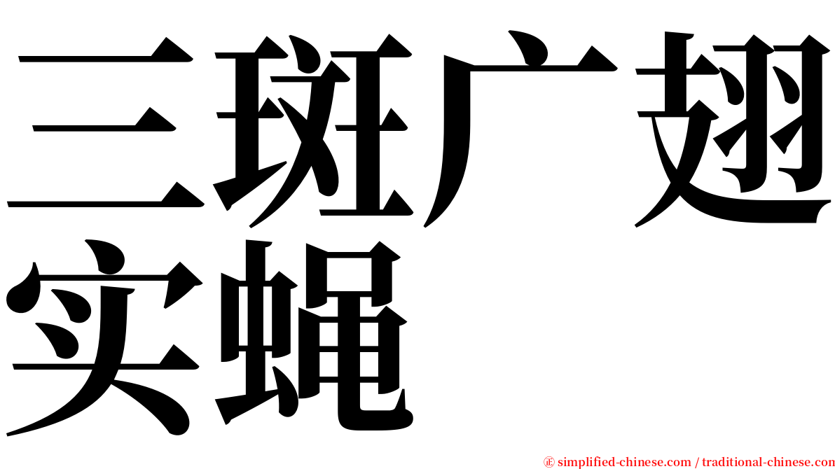 三斑广翅实蝇 serif font