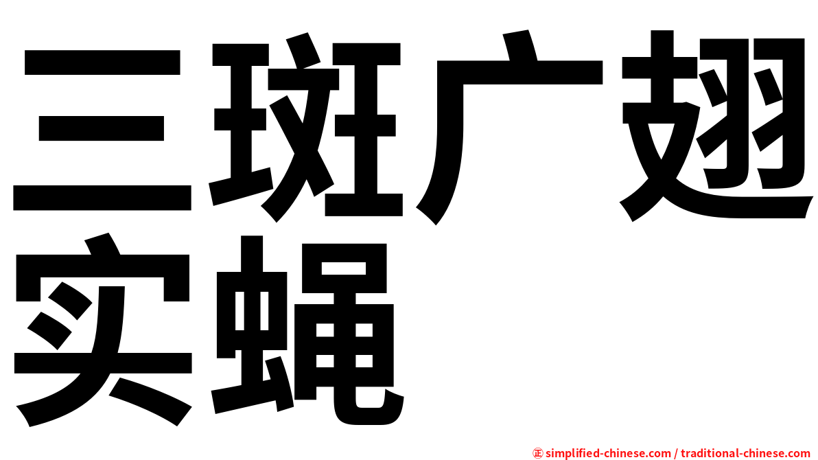 三斑广翅实蝇