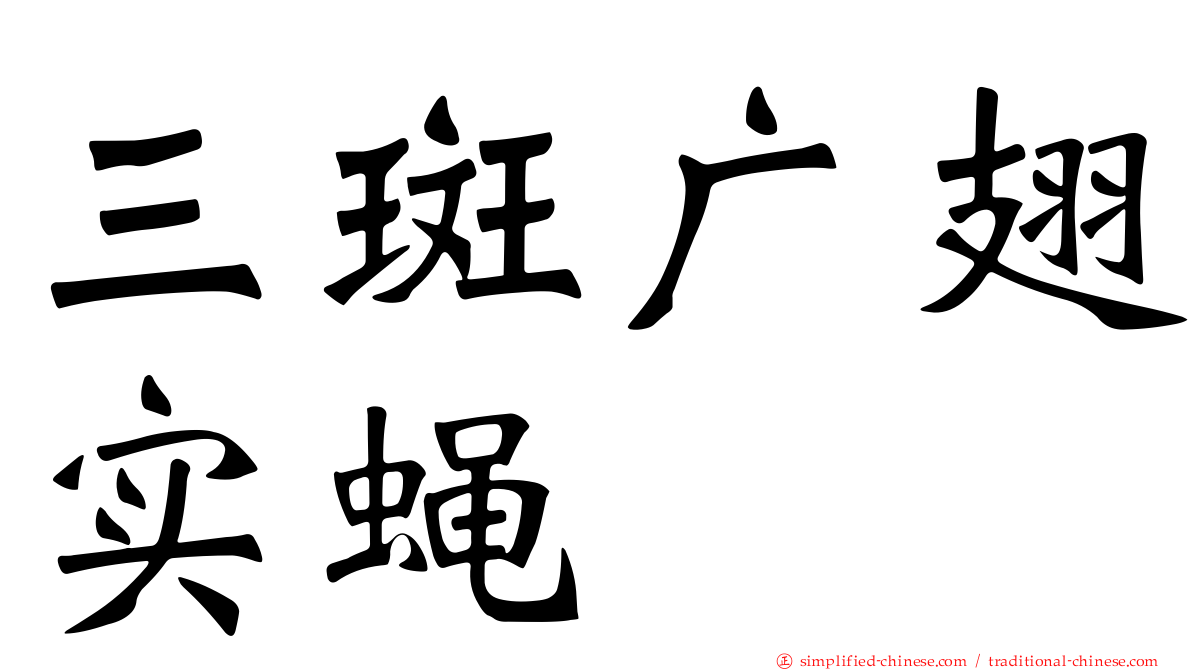 三斑广翅实蝇