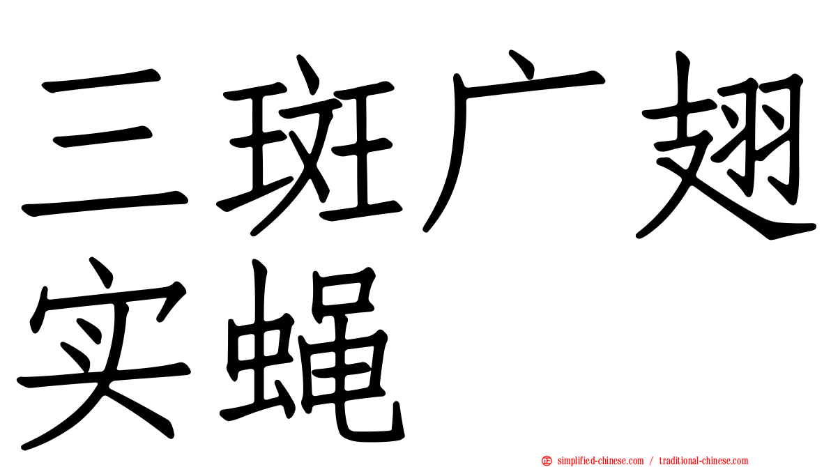 三斑广翅实蝇