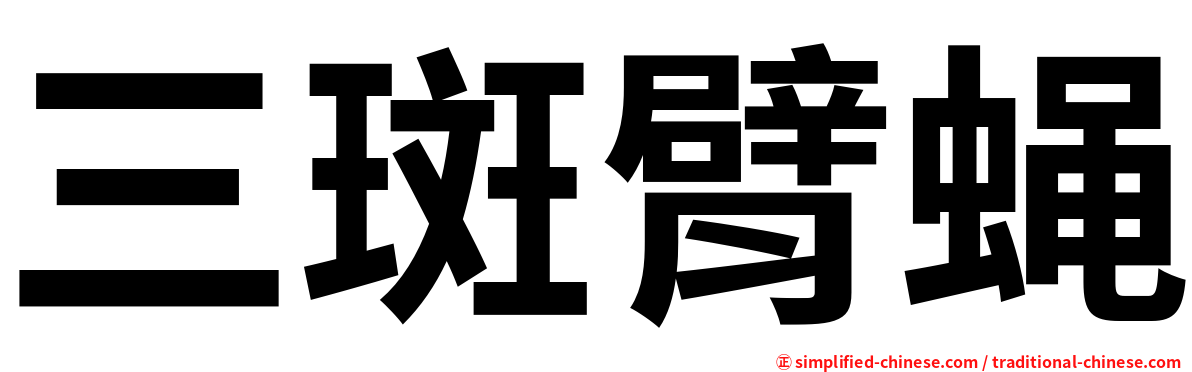 三斑臂蝇