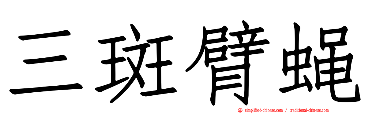 三斑臂蝇