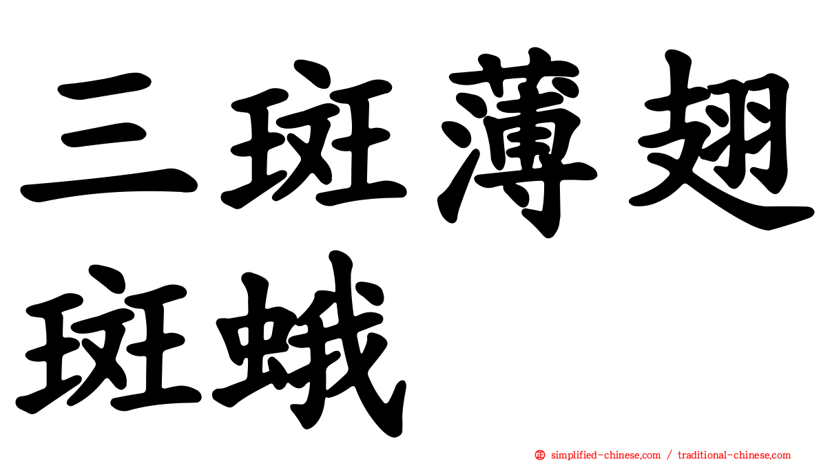 三斑薄翅斑蛾