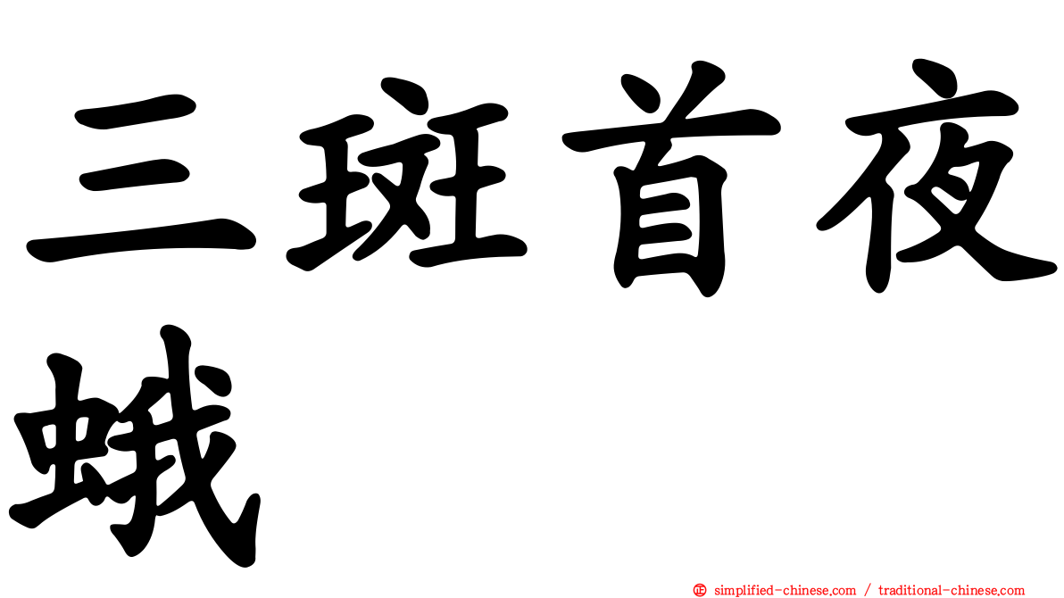 三斑首夜蛾