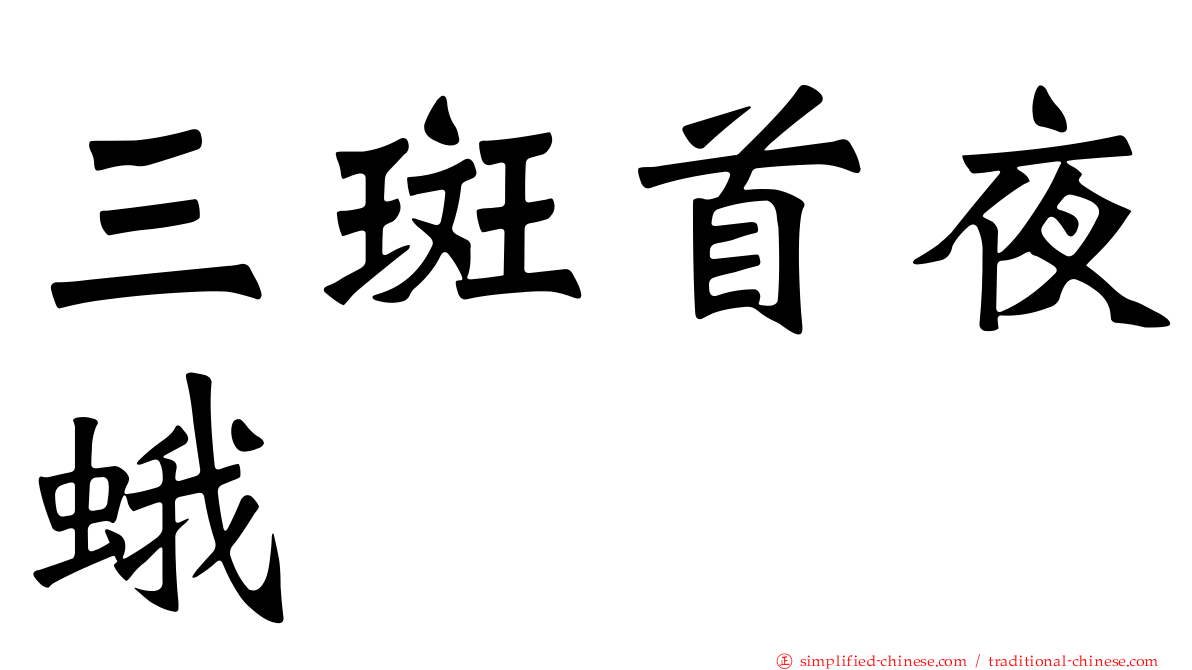 三斑首夜蛾