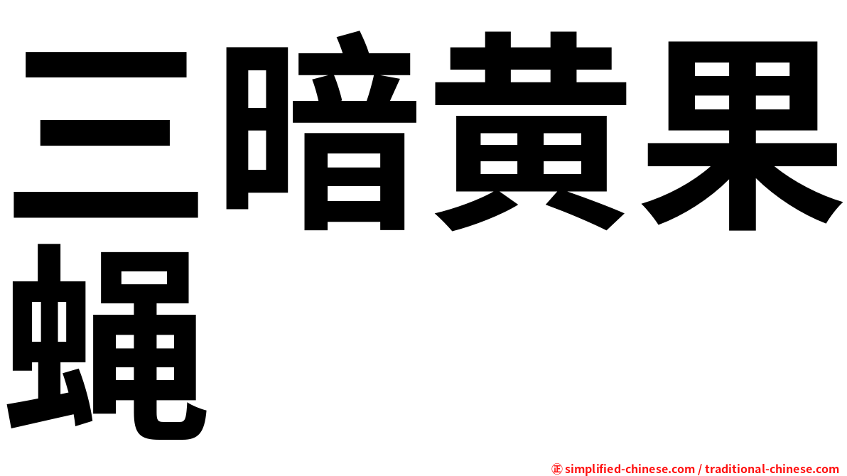 三暗黄果蝇