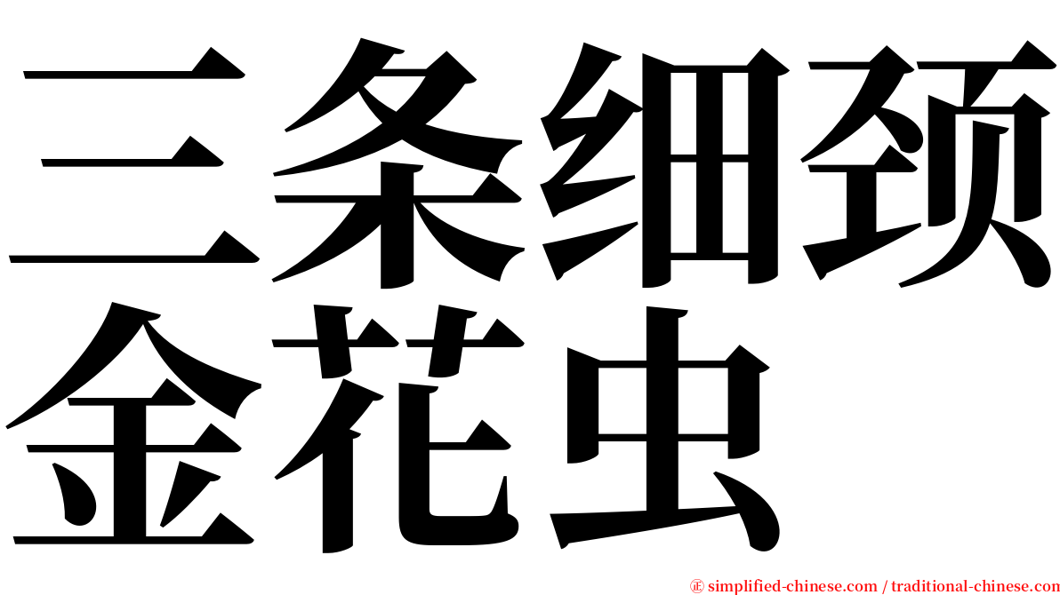 三条细颈金花虫 serif font