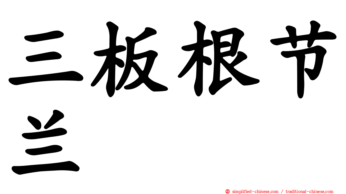 三板根节兰