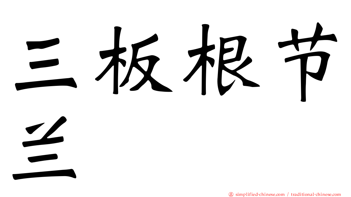 三板根节兰