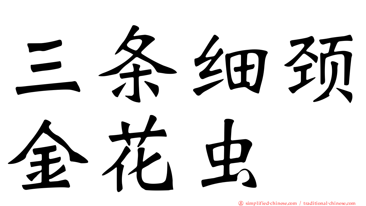 三条细颈金花虫