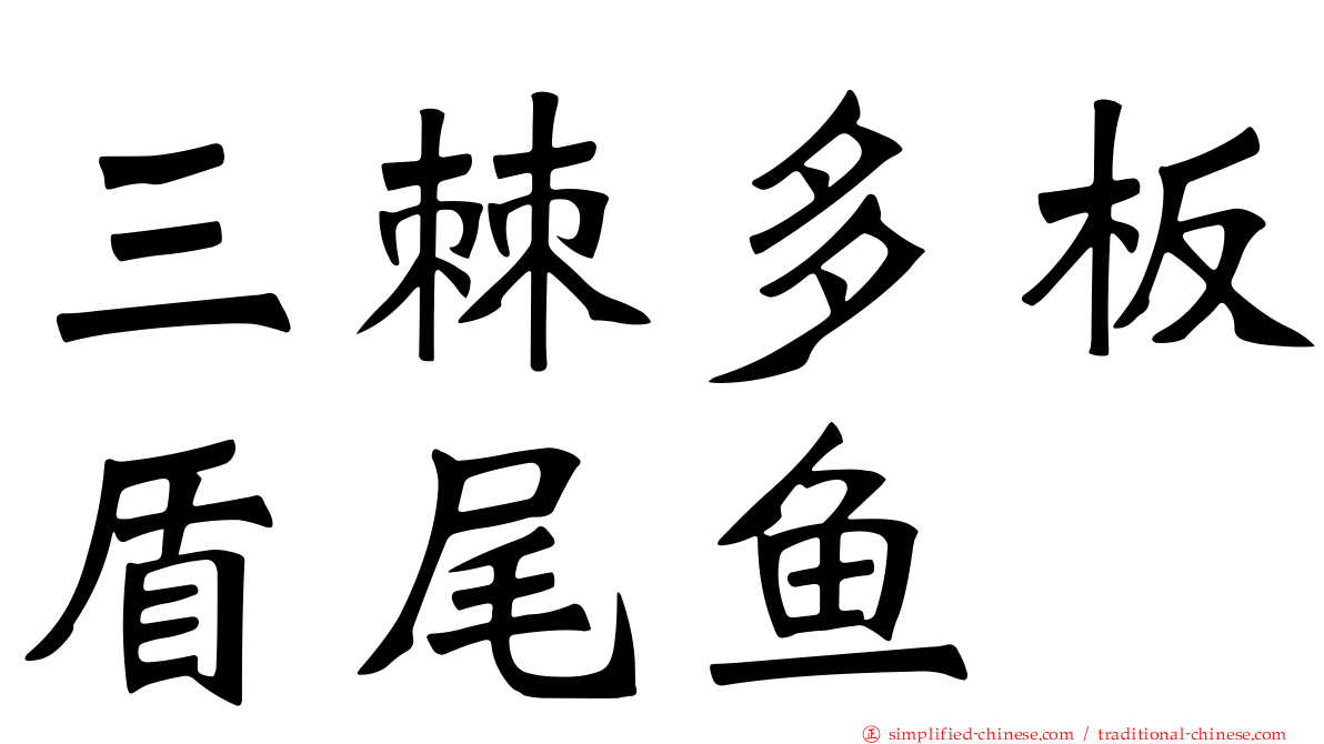 三棘多板盾尾鱼