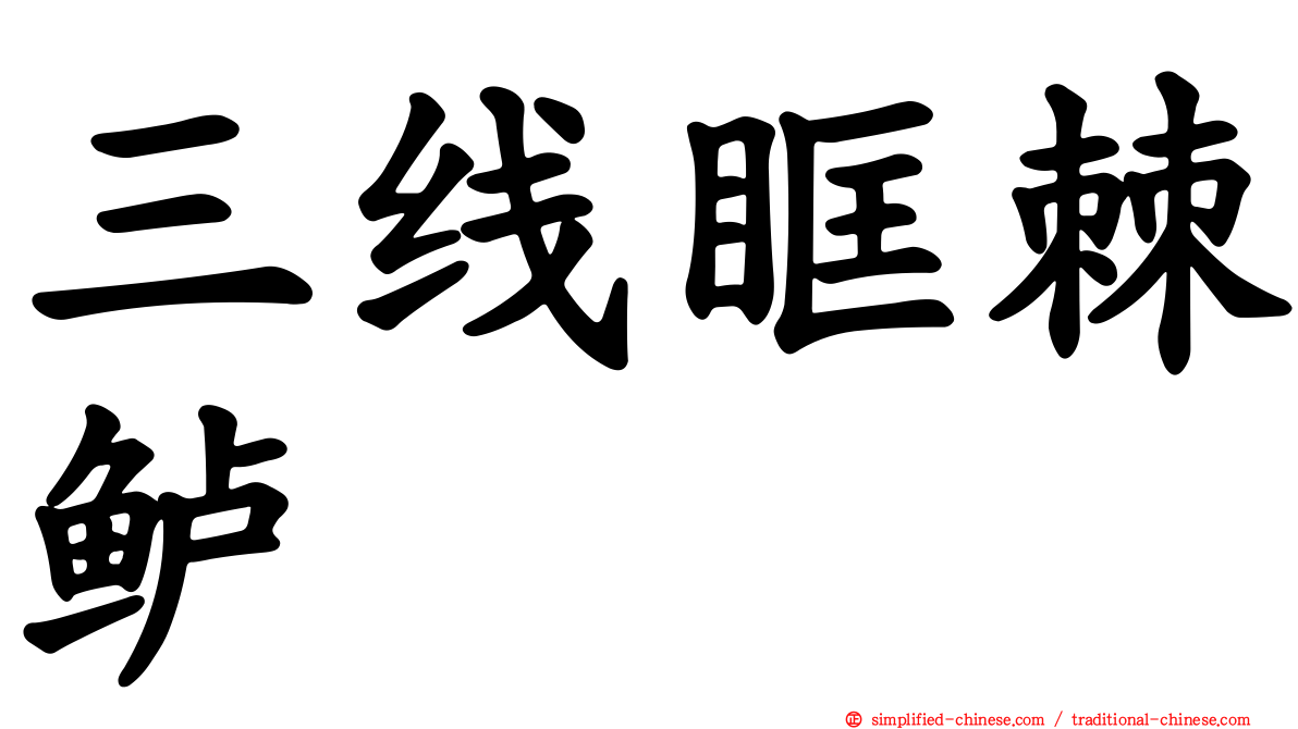 三线眶棘鲈