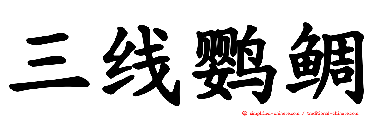 三线鹦鲷