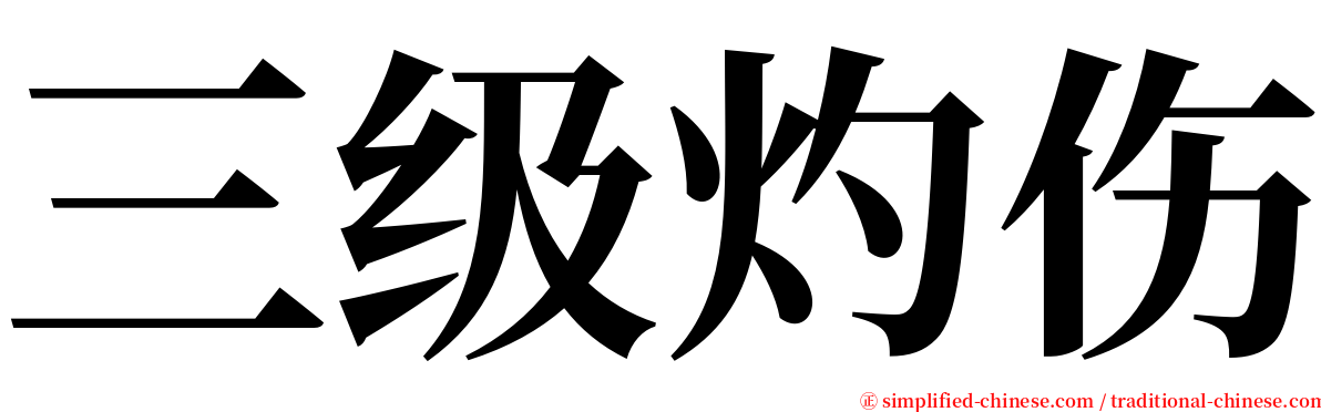 三级灼伤 serif font