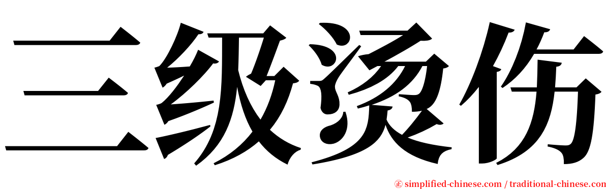 三级烫伤 serif font