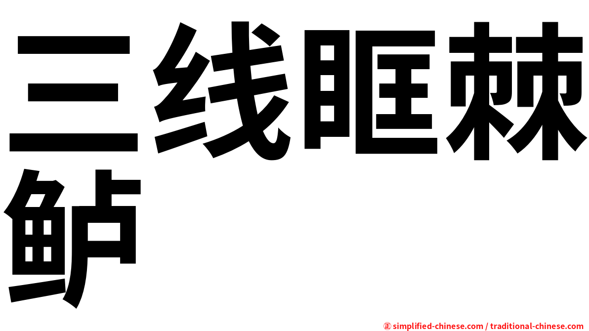 三线眶棘鲈