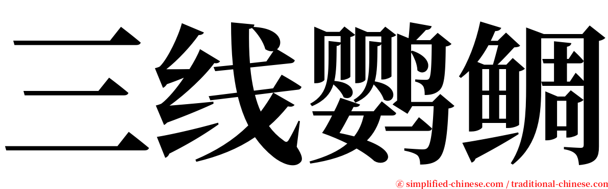 三线鹦鲷 serif font