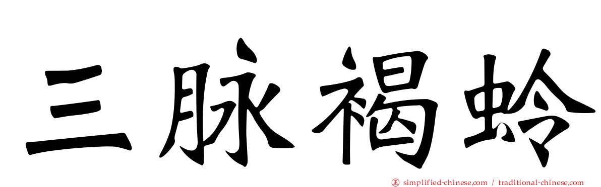 三脉褐蛉