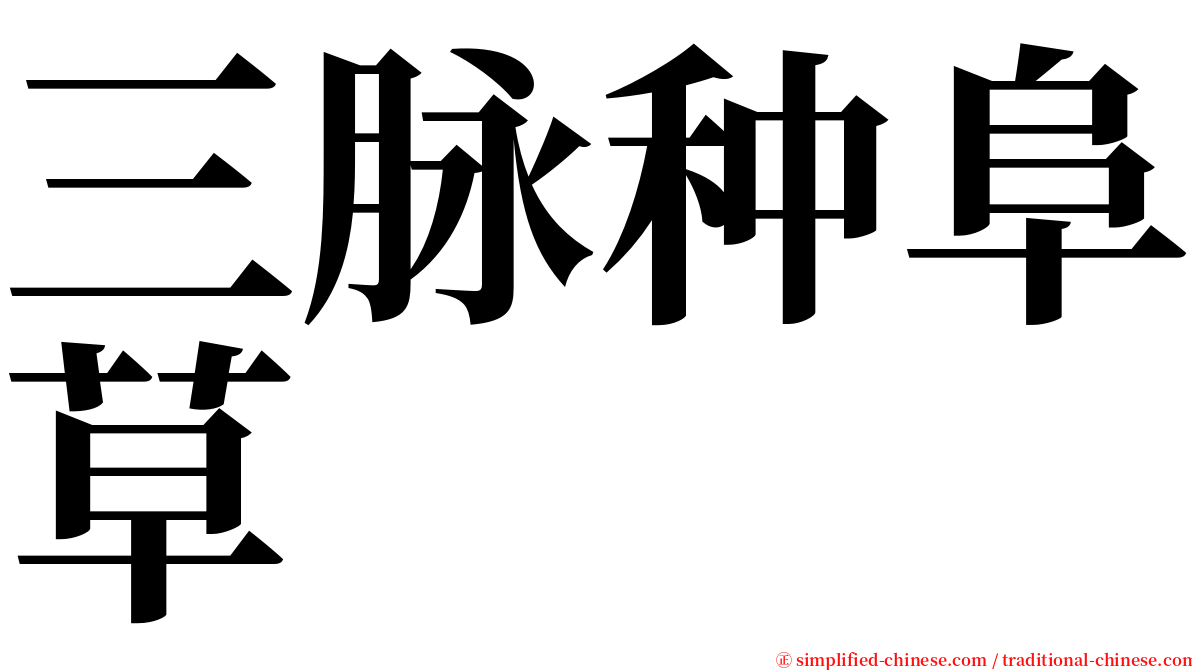 三脉种阜草 serif font